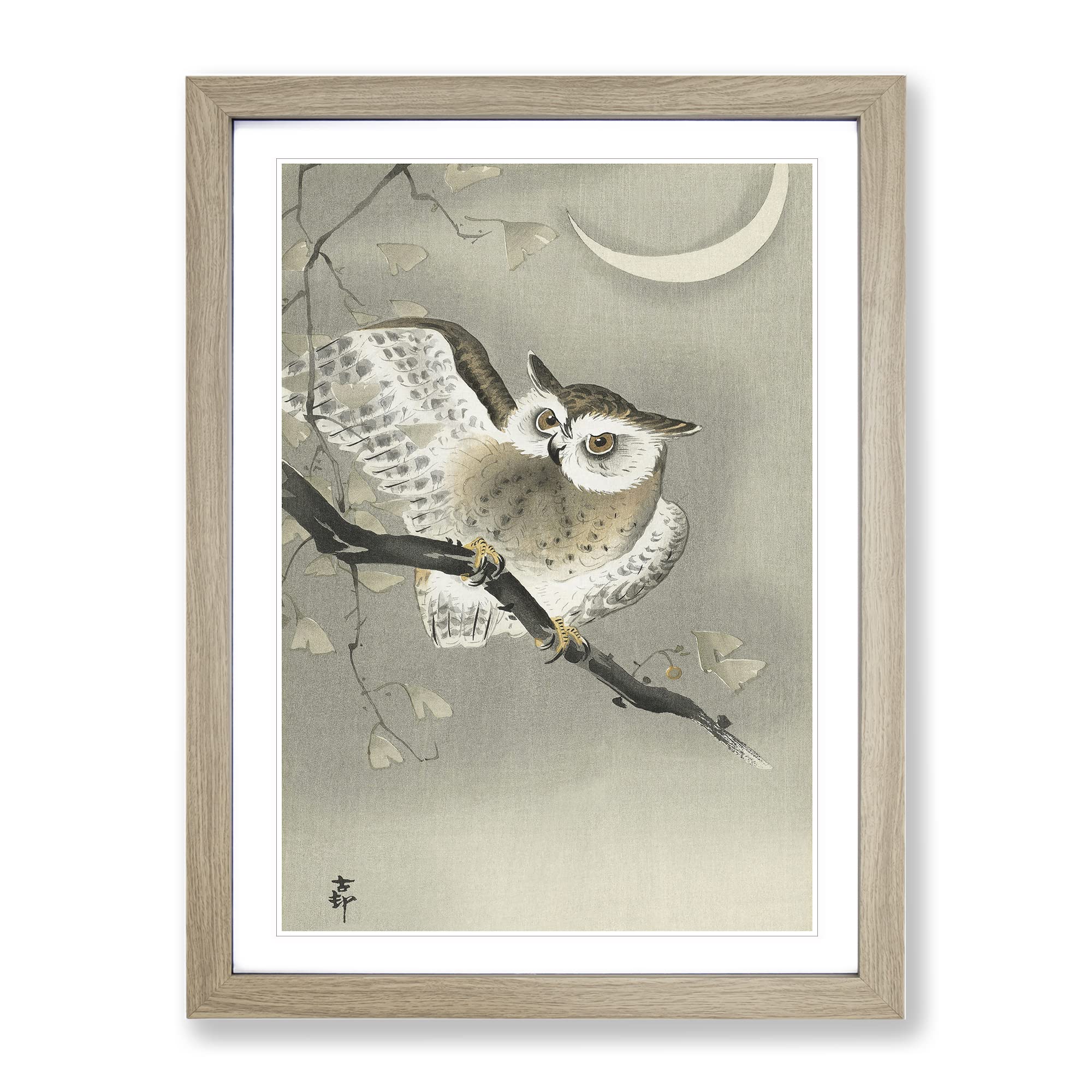 Long Eared Owl By Ohara Koson Asian Japanese Framed Wall Art Print, Ready to Hang Picture for Living Room Bedroom Home Office Décor, Oak A4 (34 x 25 cm)