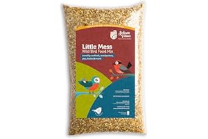 Schoen Farms Gourmet Little Mess Wild Bird Seed Mix – 2.27 kg Bag – No-Shell, Mess-Free Seed Blend with Sunflower Hearts & Mi