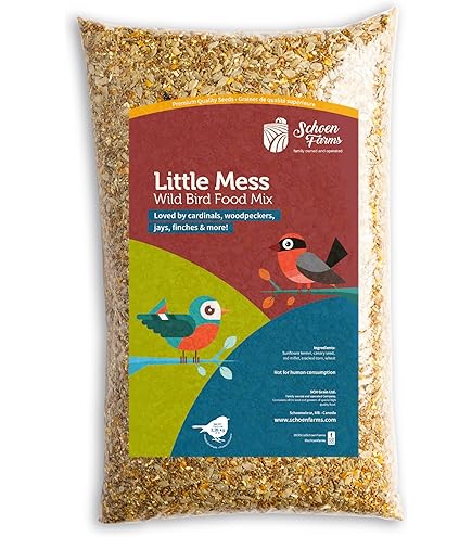 comings SONGBIRDS 7inch 歌詞カード付き ー青い鳥は幸福の象徴 探してたの 「 かくれんぼ ／ ゐ虎、」 作詞