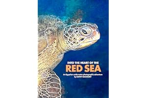 Into the Heart of The Red Sea: An underwater photographic journey