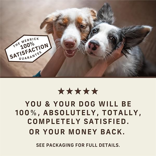 MERRICK POWER BITES NATURAL SOFT AND CHEWY REAL MEAT DOG TREATS, GRAIN FREE SNACK, REAL TURDUCKEN RECIPE – 6 OZ. BAG