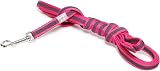 Julius-K9 Color & Gray Leash with Handle 14 mm x 3 m Pink-Gray