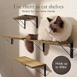 BAYKA Wall Shelves for Bedroom Decor, Floating Wall