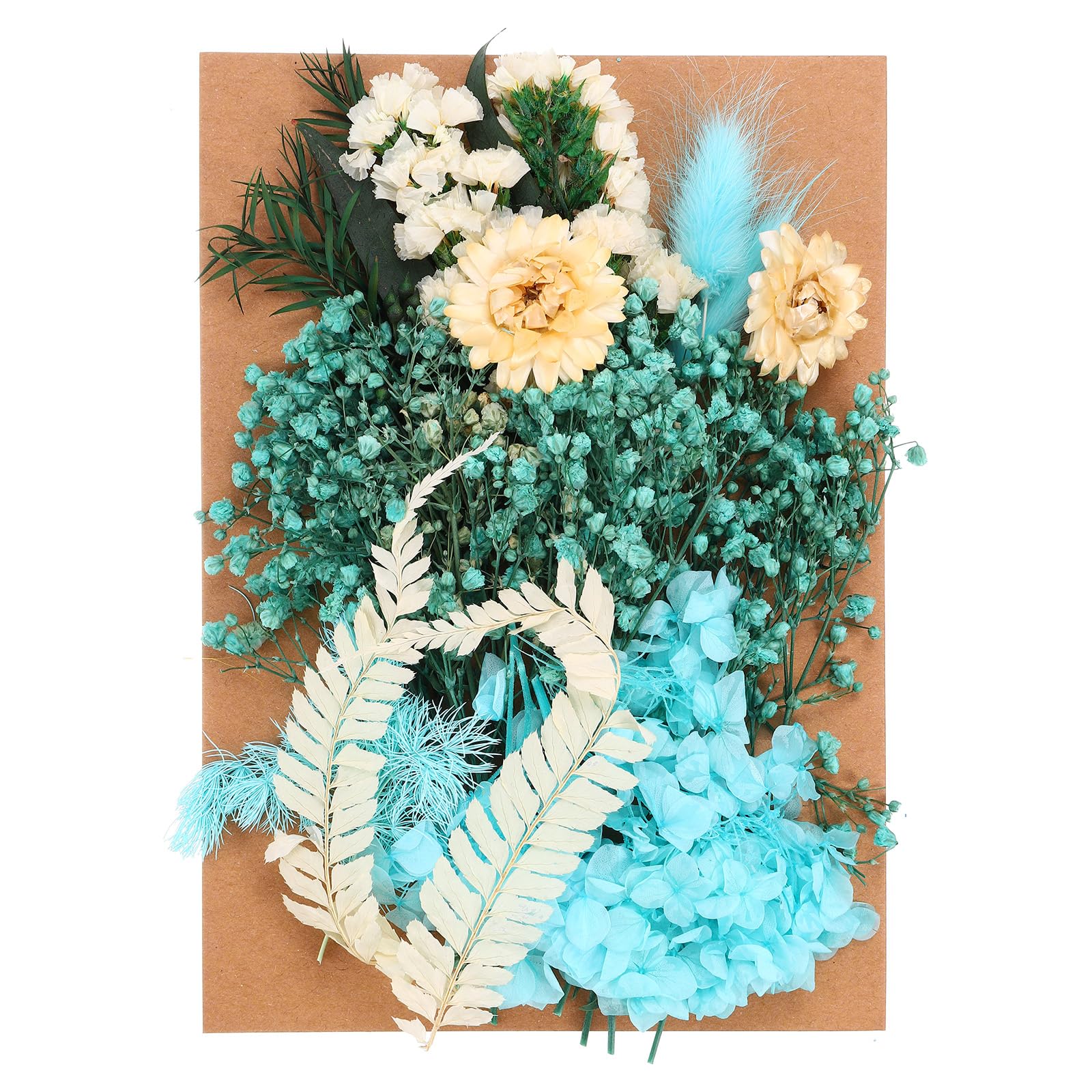 PATIKIL Pressed Flowers for Craft, Bulk Dried Flowers Natural Pressed Flowers Leaves for Resin Soap Candle Scrapbooking DIY Gift Papermaking, Blue Series