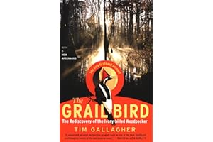 The Grail Bird: The Rediscovery of the Ivory-billed Woodpecker