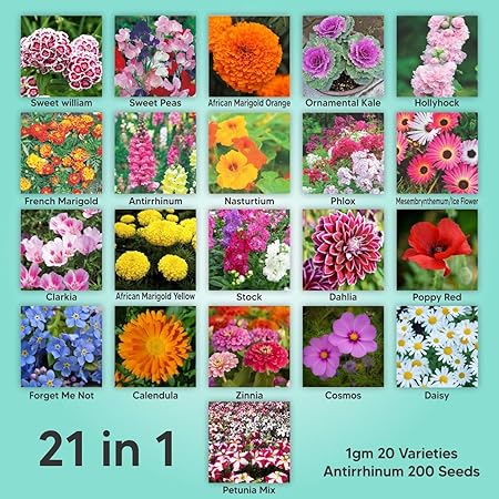 Kraft Seeds Gate Garden, Mix of 21 Different Varieties of Non-GMO Seeds, Bee and Butterfly Garden Seeds, Colorful Annual Flower Seeds, Indian Seeds for Your Garden, 1 Gram Each Variety