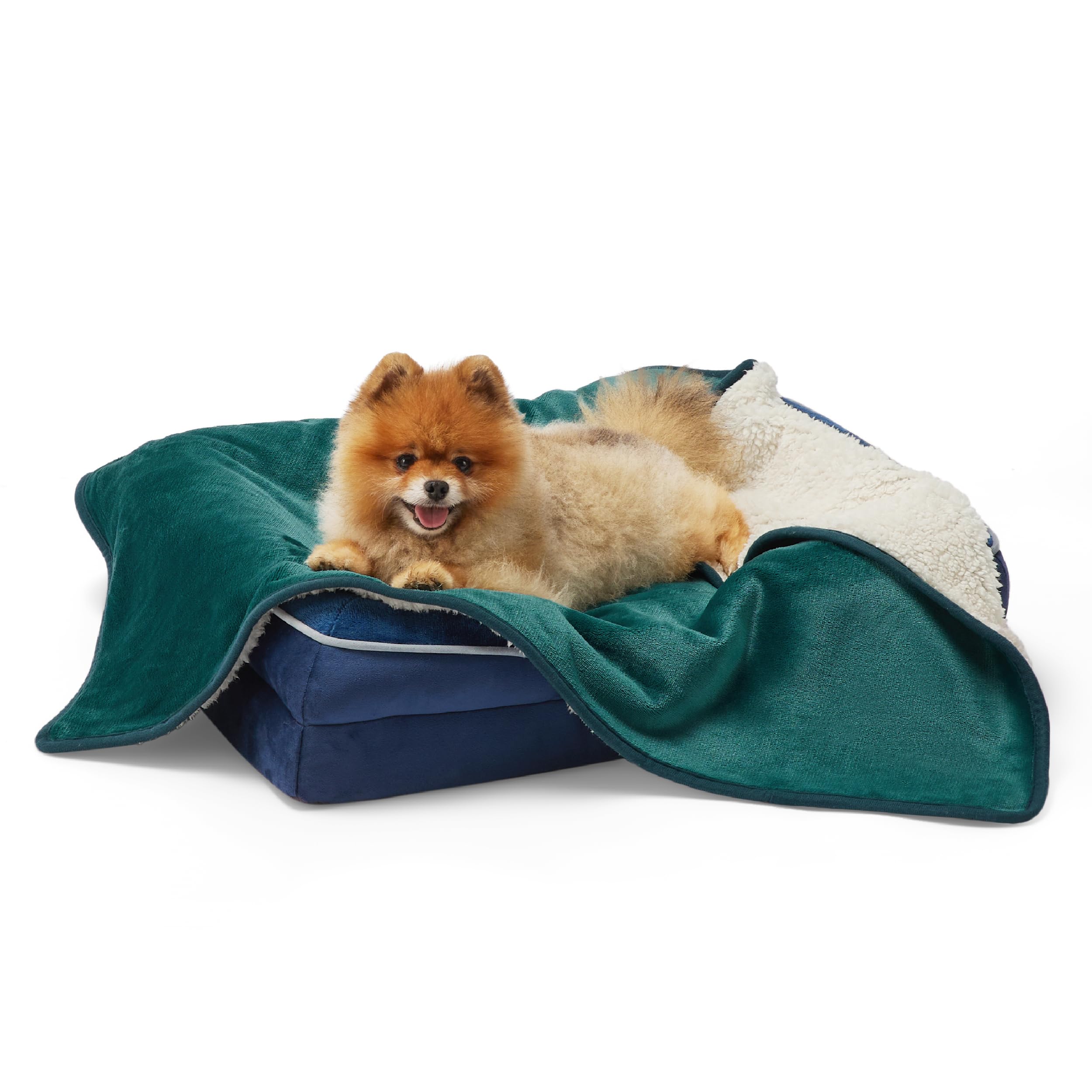 LE SURE Waterproof Dog Blanket Washable - 80x60cm Puppy Fleece Blanket For Small Dogs and Indoor Cats, Personalised Pet Throw Protects Bed and Sofa with Soft Plush, Dark-green