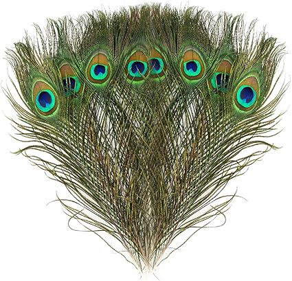 Mwoot 15 Stucke Schone Naturliche Pfauenfedern Pfau Schwanzfedern Augen Federn Dekorationen Fur Handwerk Party 28 32 Cm Amazon De Kuche Haushalt