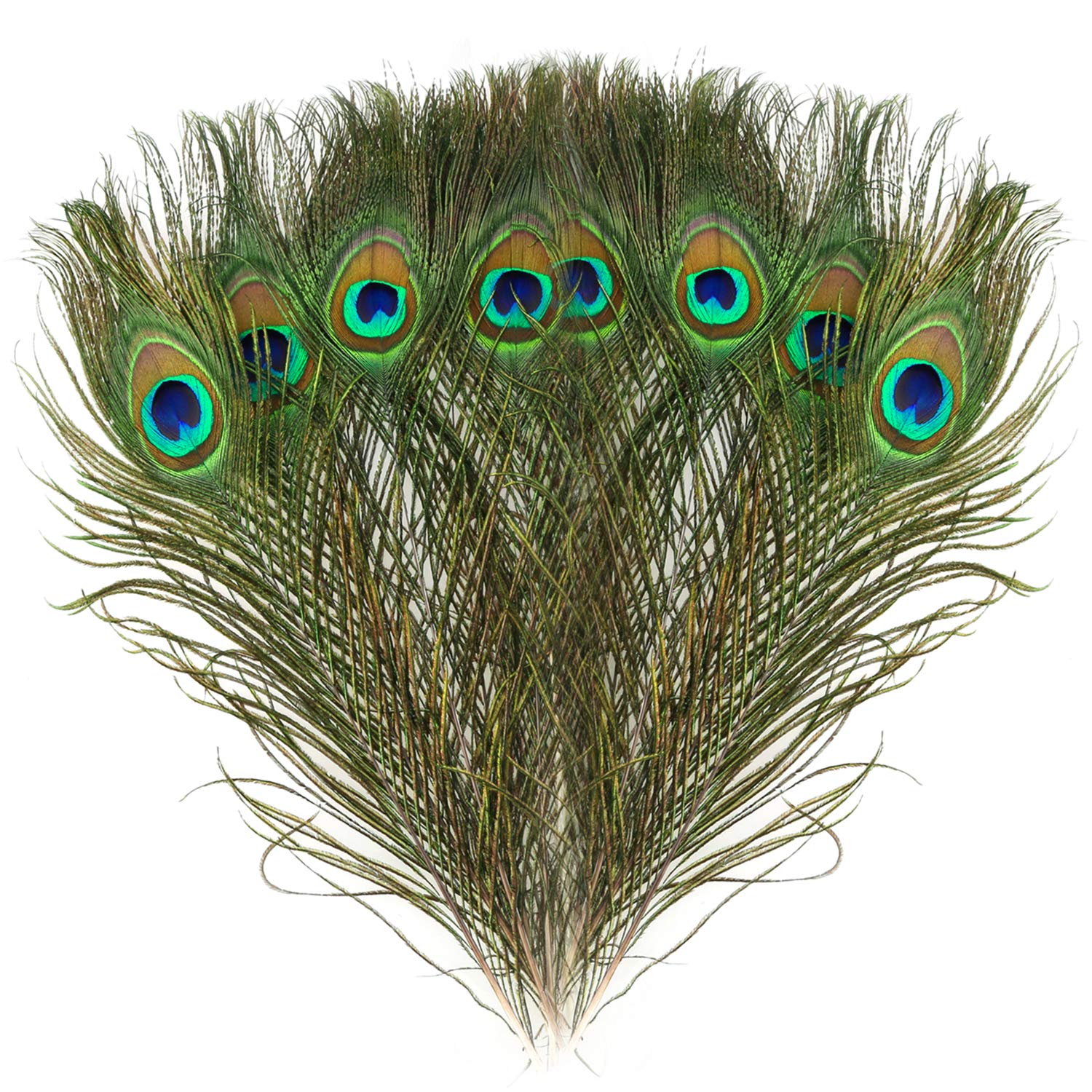 Mwoot 15pcs Natural Peacock Eye Feathers, Screen Green Tail Eye Feathers for DIY Craft,Costume,Wedding Holiday Party Decoration 11.02-12.6inch (28-32CM)