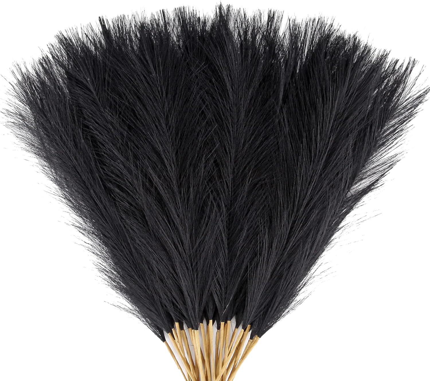 Dried & Preserved Flora - Acfruits Black Pampas Grass Decor, 30 Pcs 17