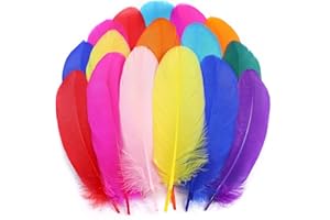 Holmgren Colorful Craft Goose Feathers - 200pcs 5-7inch Colored Feathers for Kindergarten Kids DIY Crafts, Dream Catchers, Cosplay Wings and Home Party Decorations Colorful)