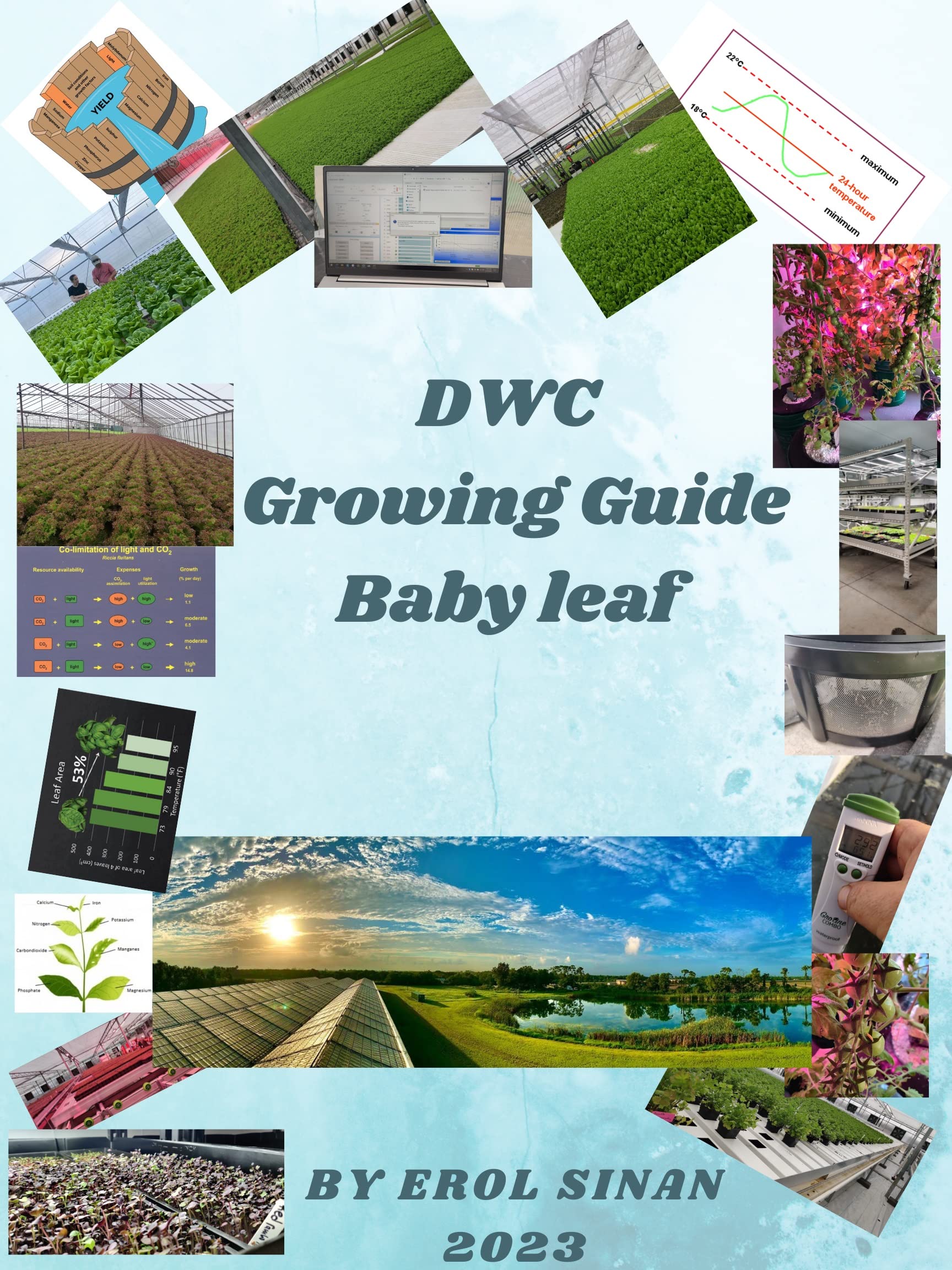 Hydroponic Baby Leaf: Growing Guide By DWC System