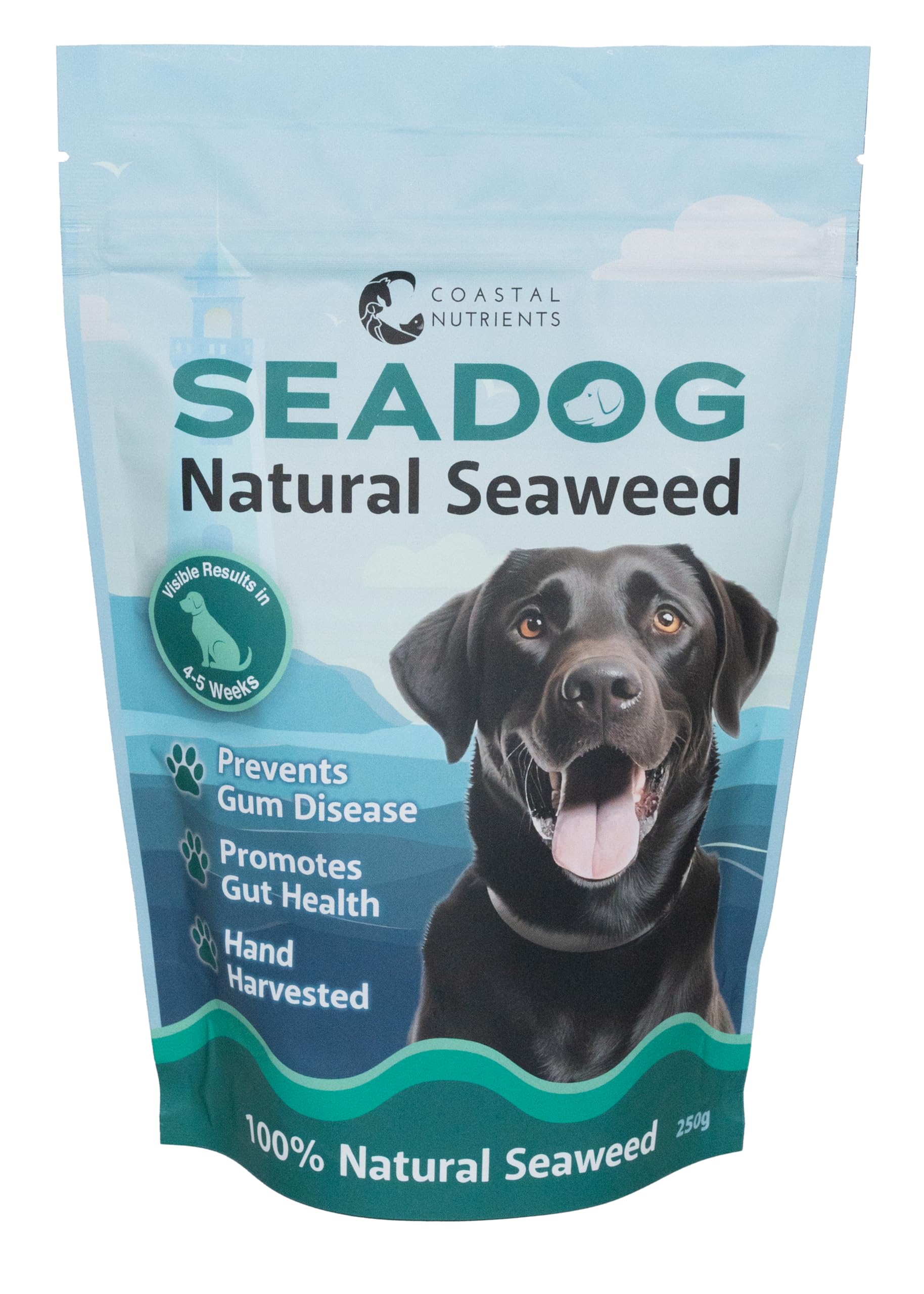 Sea Dog Dental Powder for Dogs by Coastal Nutrients with Scoop - Seaweed for Dogs - Natural Dog Breath Freshener & Dog Plaque Powder - Natural and Sustainably Sourced - 250g Pouch