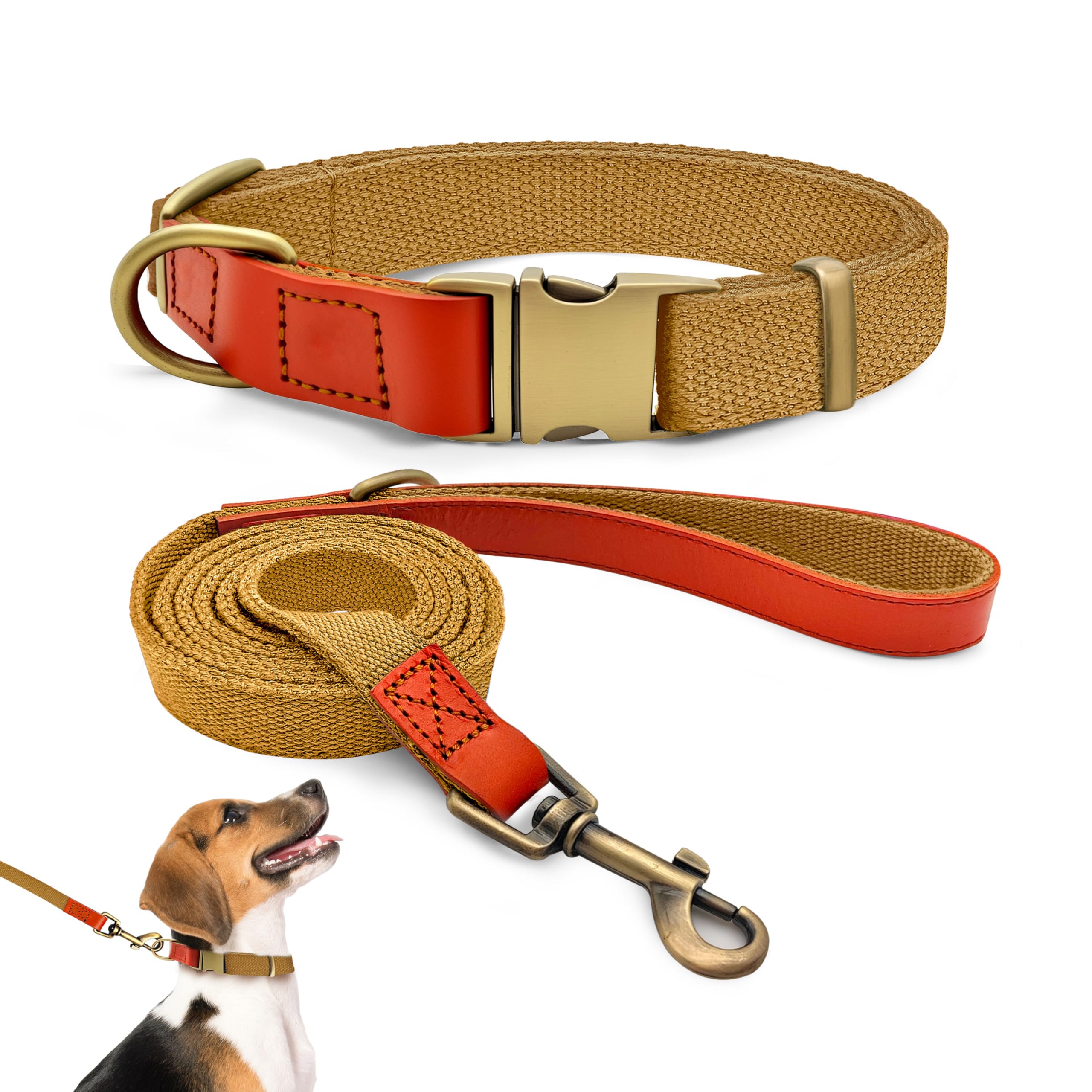 QRDA Dog Collar and Lead Set Khaki Colour Personalized Collar Adjustable Tactical Belt for Small Dogs Medium Dogs, M — image 1
