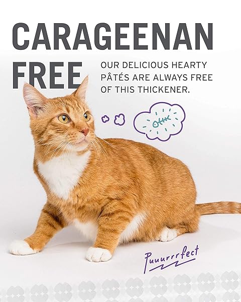 I AND LOVE AND YOU NAKED ESSENTIALS CANNED WET CAT FOOD – VARIETY PACK: BEEF RECIPE, SALMON+CHICKEN RECIPE, TURKEY RECIPE, 3-OUNCE, PACK OF 12 CANS, VARIETY PACK PATE; BEEF, SALMON, TURKEY