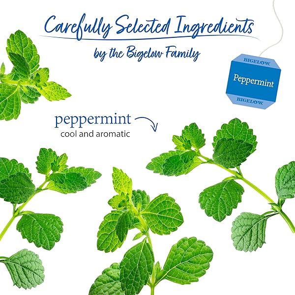 BIGELOW PEPPERMINT CAFFEINE FREE HERBAL TEA, 20 CT