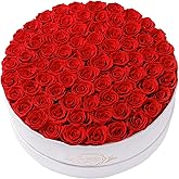 Prifroti 75 Preserved Roses in Suede Box – Luxury Rose Flower Arrangement, Preserved Flowers Gifts for Women, Wife or Mom – Birthday, Anniversary, Valentine’s Day, Mother's Day (Red)