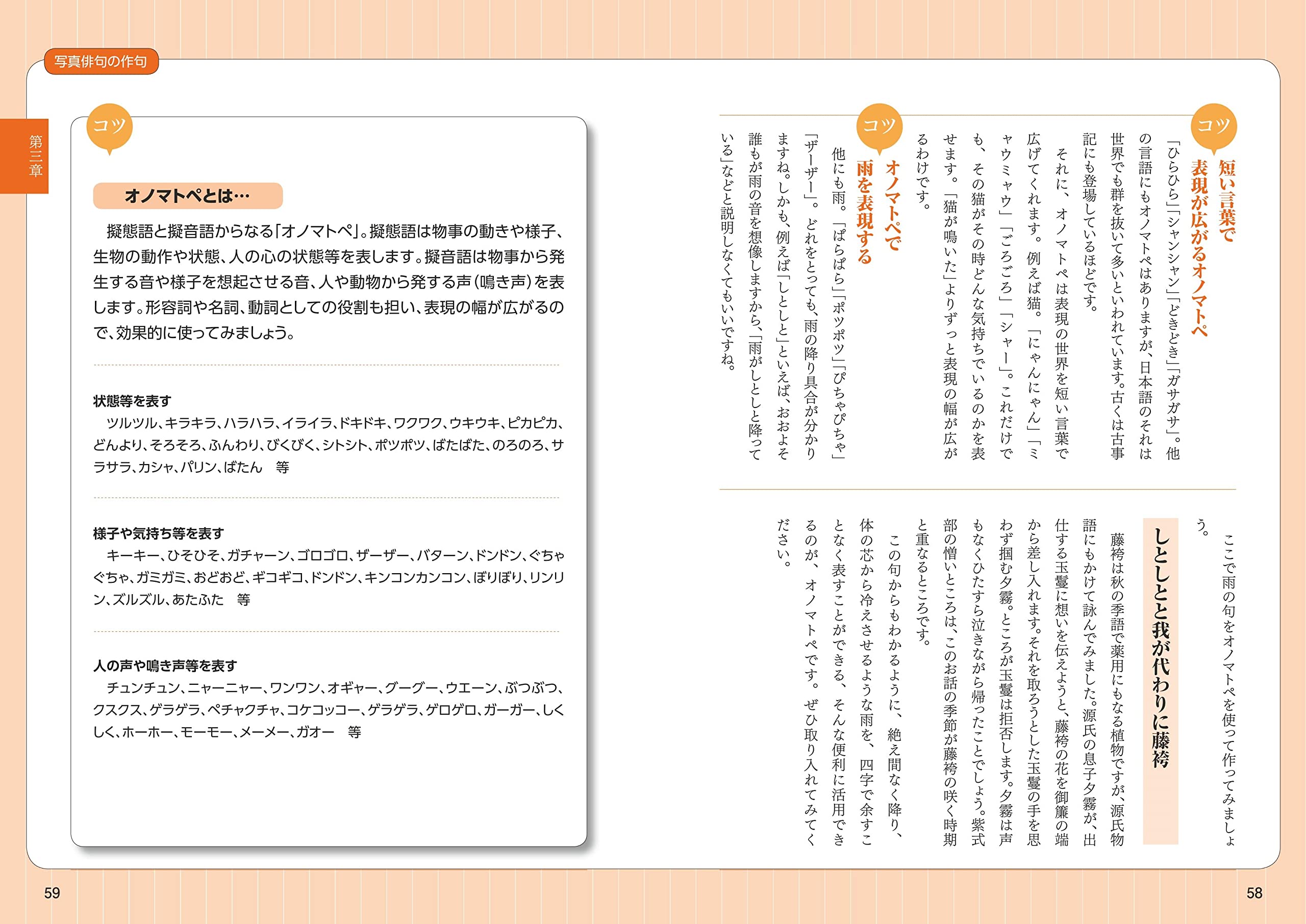 表現力を磨く よくわかる 写真俳句 上達のポイント コツがわかる本 中村 廣幸 森村 誠一 作品協力 本 通販 Amazon