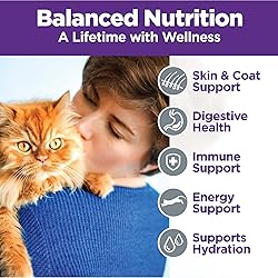 Wellness Complete Health Chicken & Turkey Pate