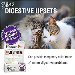 HomeoPet Feline Digestive Upsets, Natural Cat