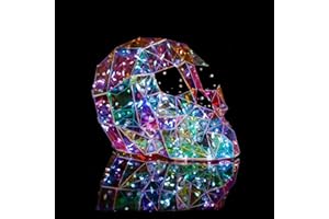 PYRRHIAX Prism Rainbow Colors Horror Skull, Prism Skull LED Lights, Fun Colored Glowing Lights Halloween Interior Decorations
