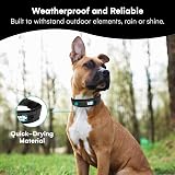 Black Rhino Heavy-Duty Adjustable Reflective Waterproof Dog Collar Pink Black view 6