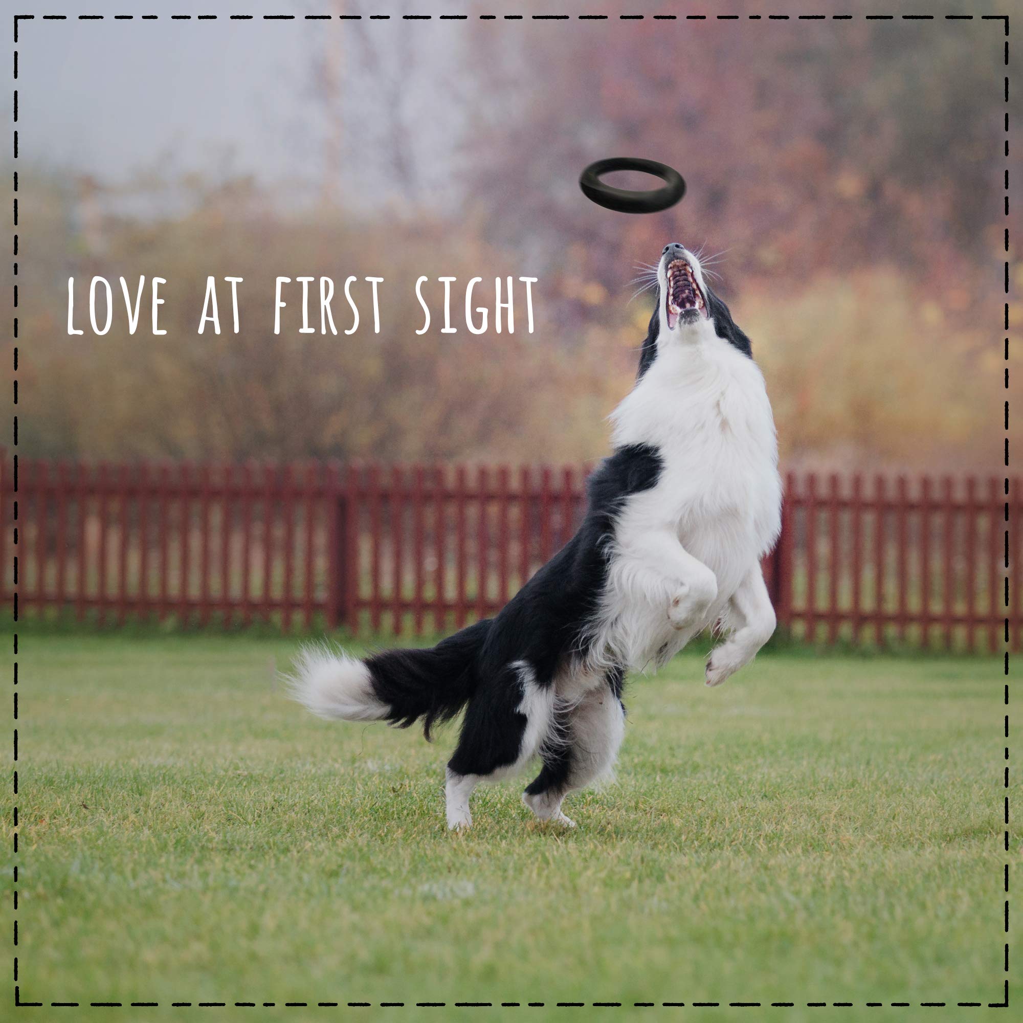 E-A-Y Dog Toys for Aggressive Chewers - Durable Chew Toy - Rubber Chew Toy for Dogs & Puppies & Tough Strong Durable Natural Rubber - 100% Safe & Non-Toxic & Stylish Gift Box !!!