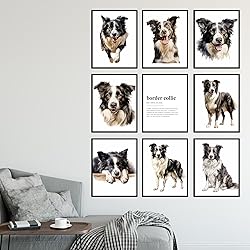 BigWig Prints Border Collie Wall Art - Border