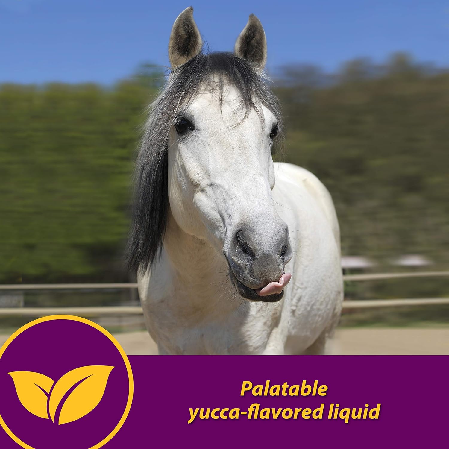 FARNAM 74109 Red Cell Pet Supplement, 32-Ounce : Horse Nutritional Supplements And Remedies : Pet Supplies