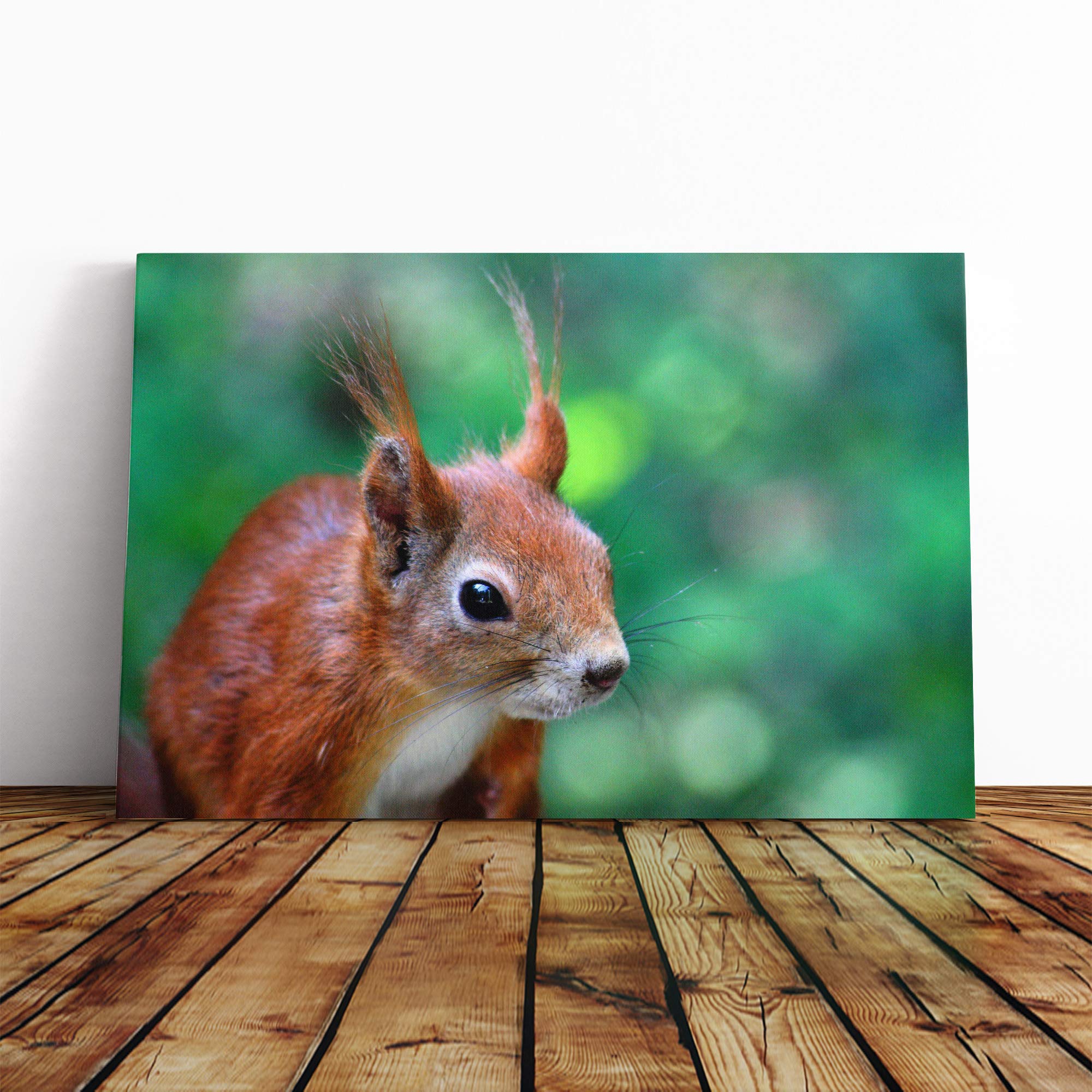 Red Squirrel Canvas Print | Gallery Wrapped 30mm Frame Wall Art | 20x14 inches | Ready to Hang | Modern Animal Picture | Living Room Bedroom Lounge Office