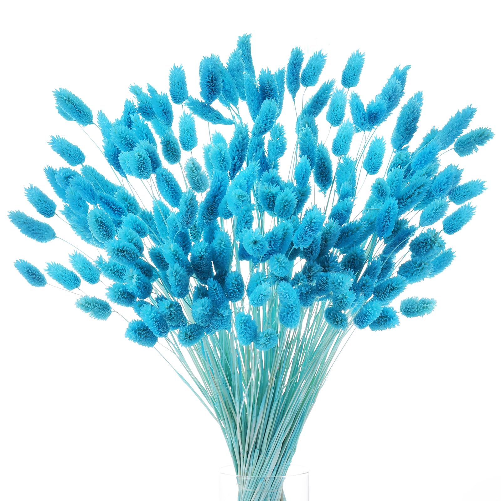 Photo 1 of 120 PCS Blue Dried Flowers, 17" Artificial Pampas Grass Bunny Tails Bouquet for Crafts, Natural Gem Grass Bundles with Stems for Vase, Boho Wedding, Baby Shower, DIY Floral Arrangement, Home Decor