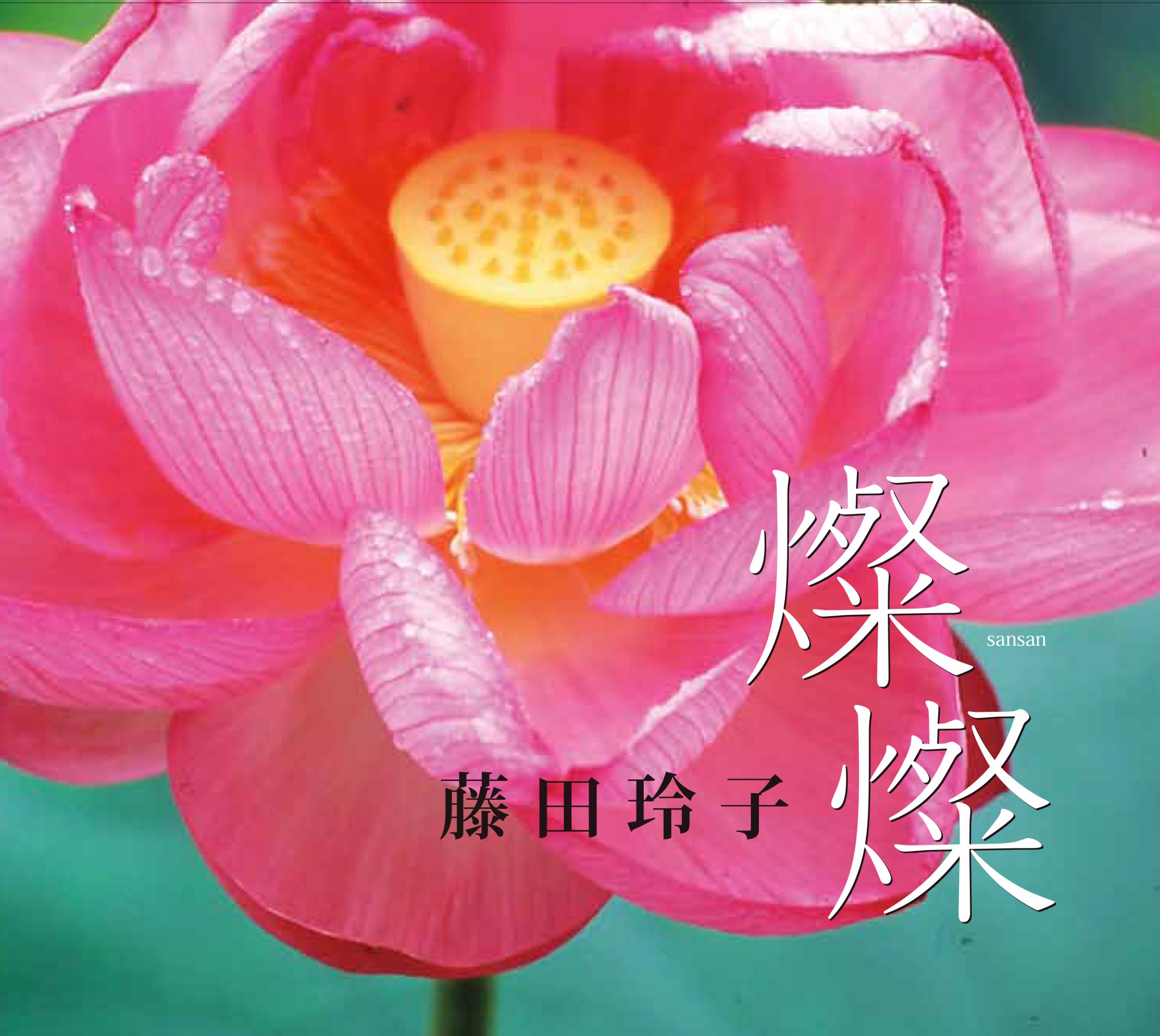 藤田玲子写真集 燦燦 藤田 玲子 藤田 玲子 本 通販 Amazon