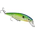 Strike King KVD Jerkbait 2 Hook