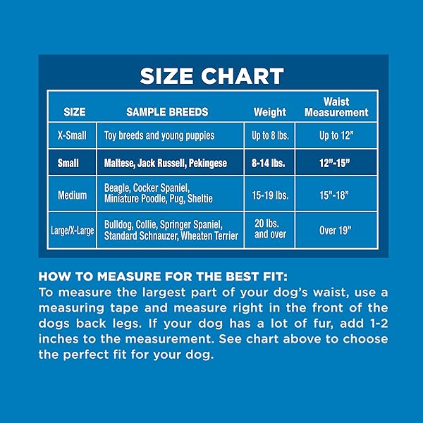 FOUR PAWS WEE-WEE SUPER ABSORBENT DISPOSABLE ADJUSTABLE DOG POTTY TRAINING DIAPERS, LEAK-PROOF PROTECTION FOR PUPPIES AND SMALL DOGS, SMALL, 12 COUNT