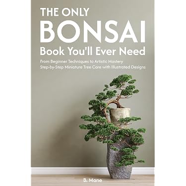 globus bonsai Bonsai-Anzuchtset Ginkgo – Glücksbaum Starter-Set für Anfänger – Wurzelbox main image 0