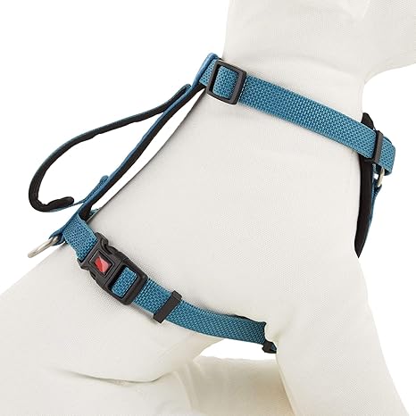 Kong comfort leash Clearance