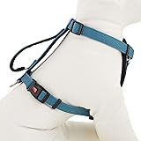 kong comfort reflective harness