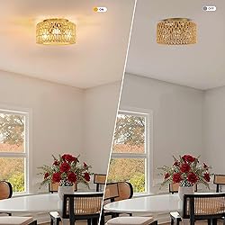 MAYNA 3-Light Boho Light Fixtures Ceiling