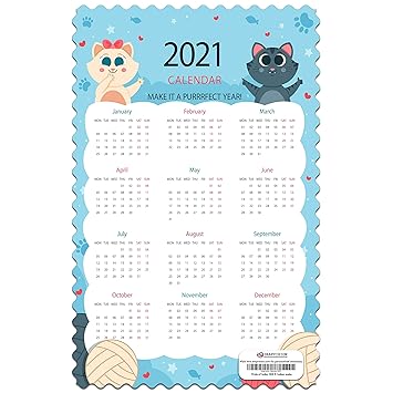 Drapvision Ultra Premium Wall Calendar 21 Lustrous 5k Studio Print Unique Curvy Cut Edges Design 5 Amazon In Office Products