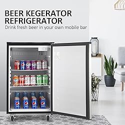 Beer Kegerator Dual Tap Draft Beer Dispenser 6.1