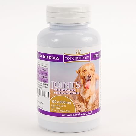 top rated joint supplements for dogs
