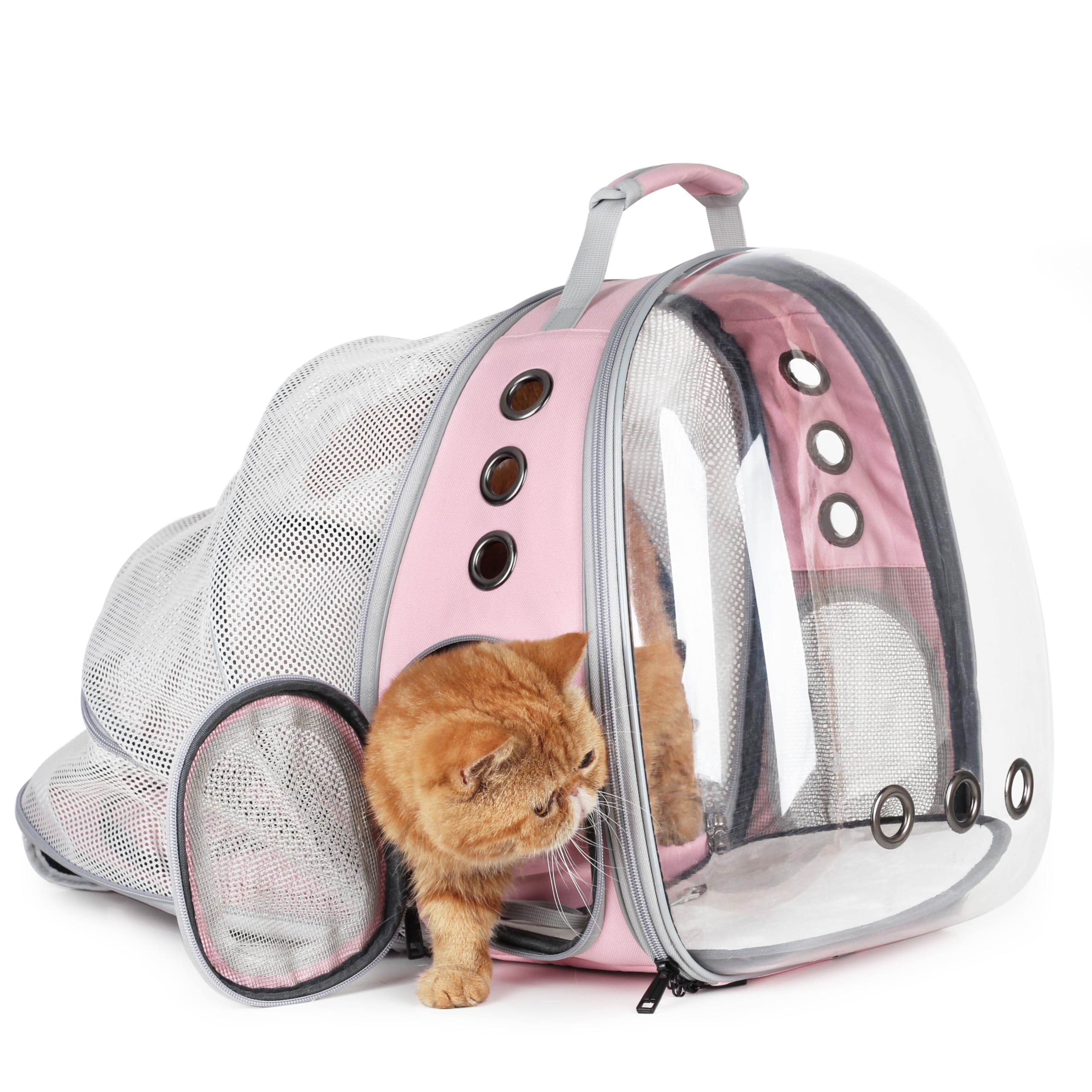Photo 1 of Lollimeow Cat Carrier Backpack, Bubble Expandable Backpack Carrier, Pets and Small Dogs,Airline-Approved, Designed for Travel, Hiking, Walking & Outdoor Use (Back Expandable-Pink)