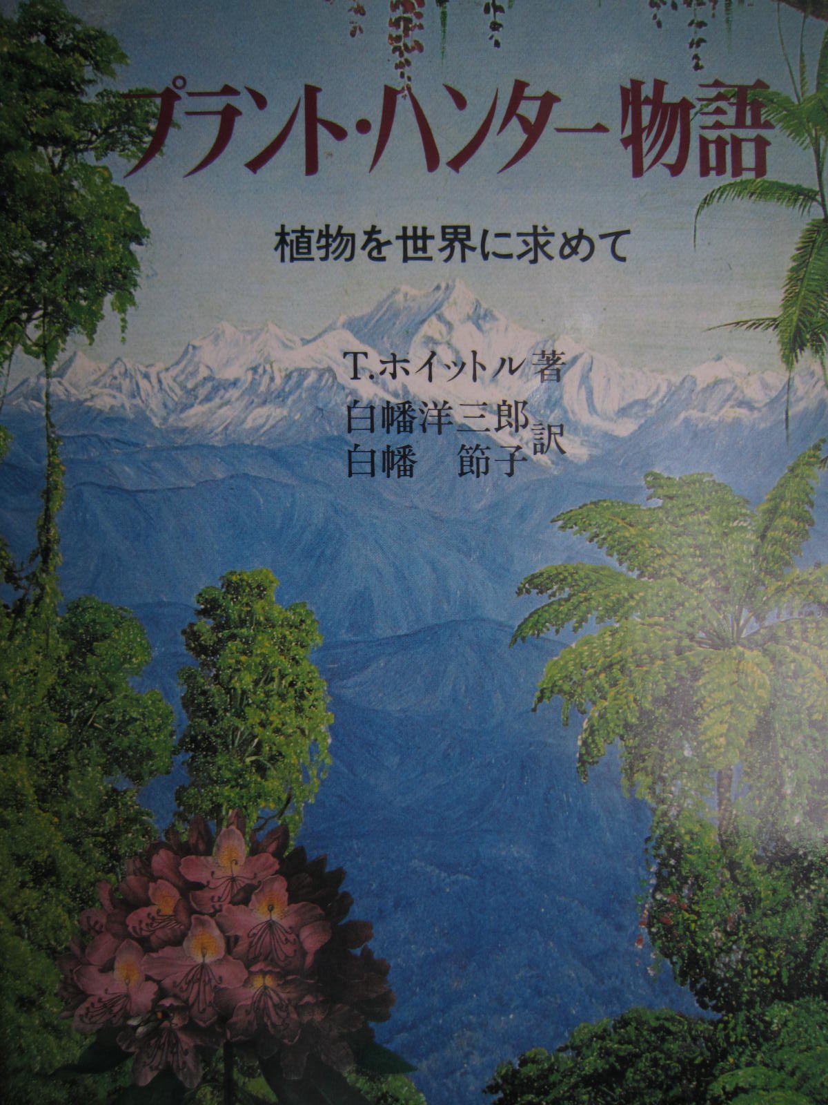 プラント ハンター物語 植物を世界に求めて 19年 植物と文化双書 T ホイットル 白幡 洋三郎 白幡 節子 本 通販 Amazon