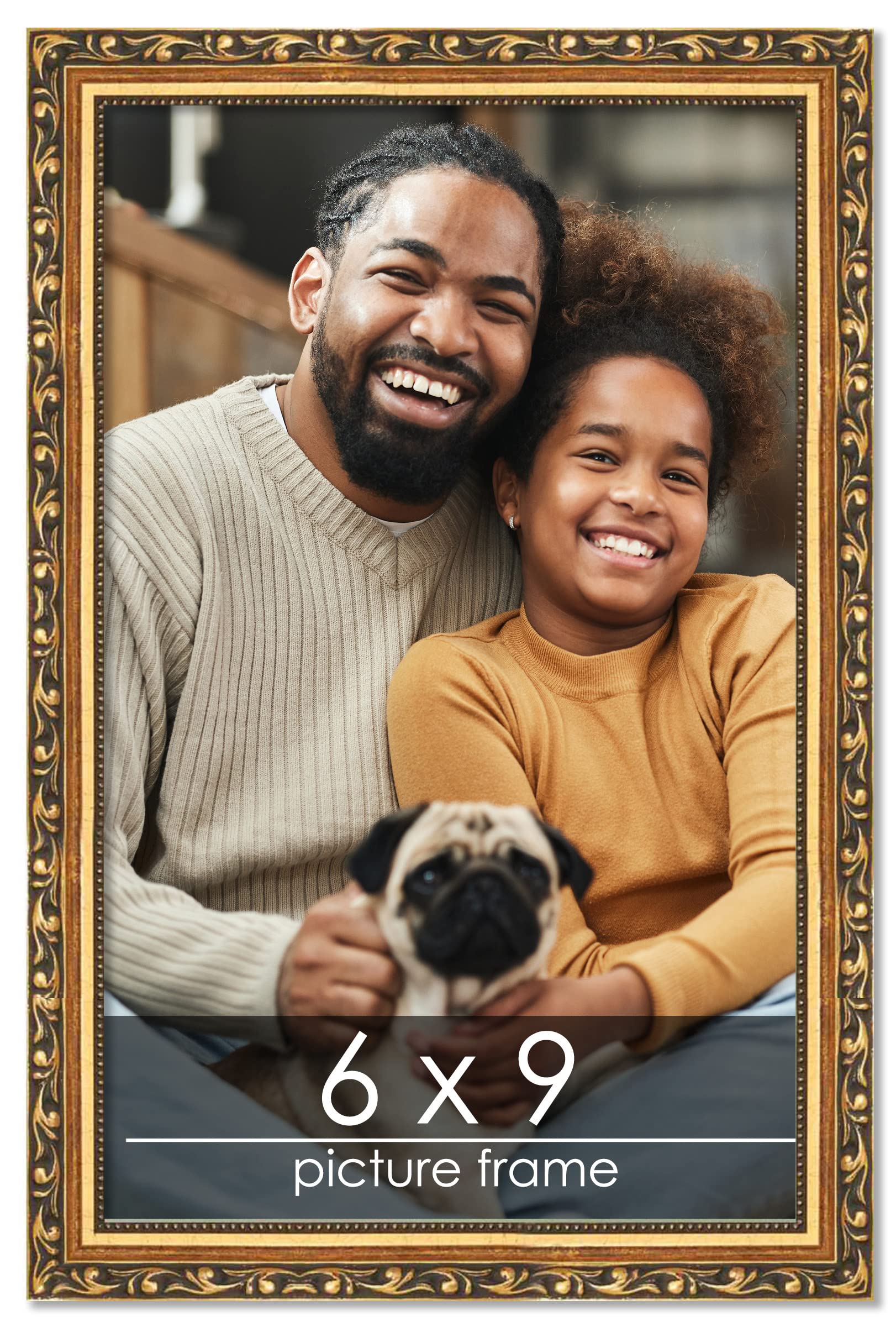 Photo 1 of Poster Palooza 6x9 Traditional Gold Picture Frame with UV Acrylic Plexiglass, Foam Board Backing & Hardware Included
