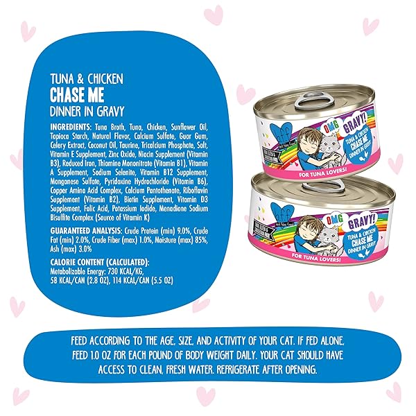 WERUVA B.F.F. OMG – BEST FELINE FRIEND OH MY GRAVY!, TUNA & CHICKEN CHASE ME WITH TUNA & CHICKEN, 2.8OZ CAN (PACK OF 12)