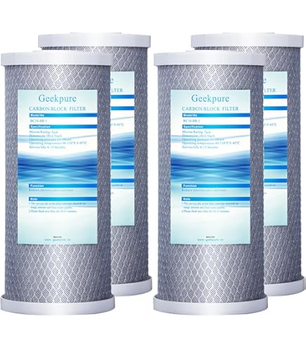 Pentek 150469 3/4-Inch 10-Inch Big Blue Filter Housing : Amazon.ca