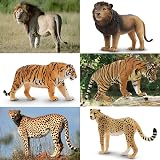 toymany 8pcs Safari Animals Playset Lion Tiger Cheetah Leopard Cubs view 7