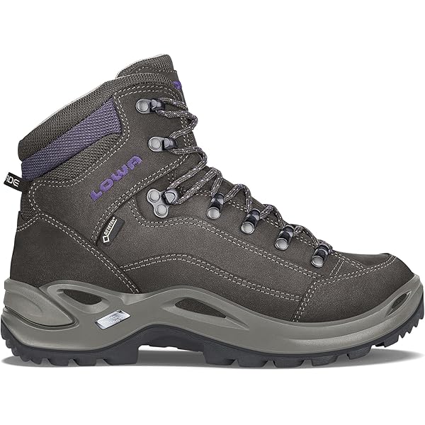 Renegade Evo Gtx Lo W | Lowa España