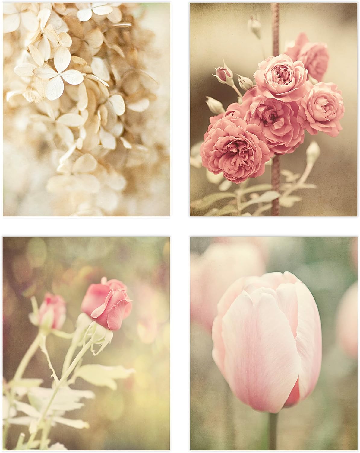 Photographs - Lisa Russo Fine Art - Pink and Off White Flower Art Prints - Set of 4 - Unframed - Pink Shabby Chic, French Country Floral Pictures for Bathroom, Bedroom, or Nursery Wall Decor (8x10 Prints)
