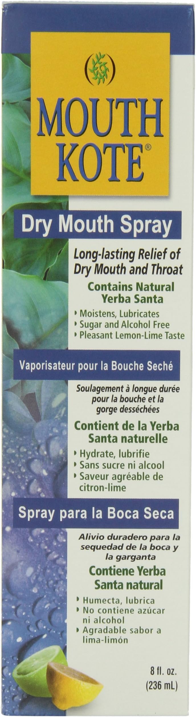 Mouth Kote Oral Moisturizer with Yerba Santa Dry Mouth Spray, 2 Fluid Ounce by MouthKote